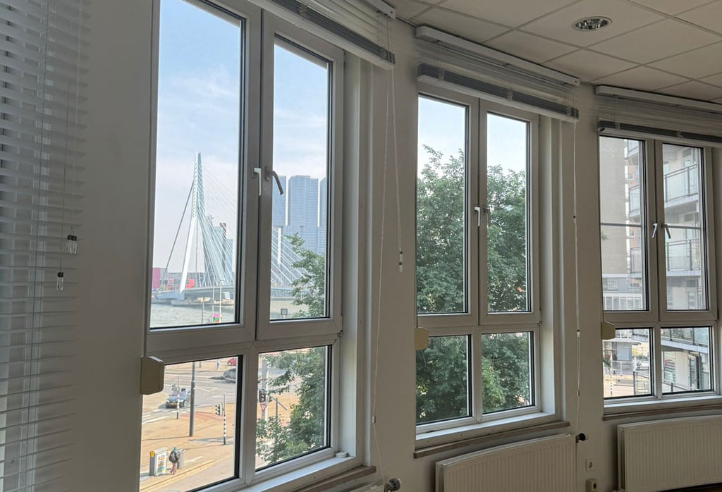 Uitzicht Erasmusbrug