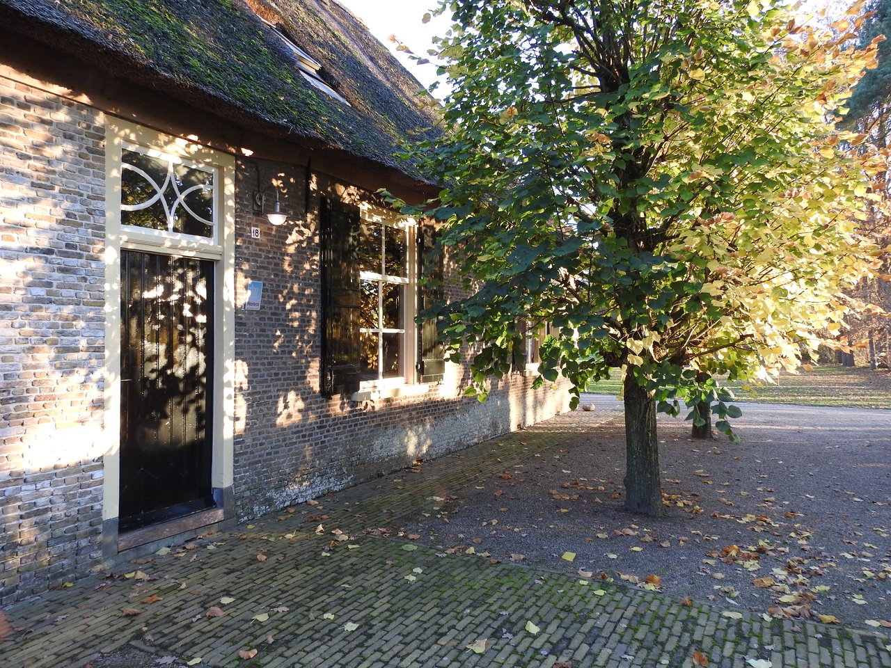 DSCN1901.JPG (1)