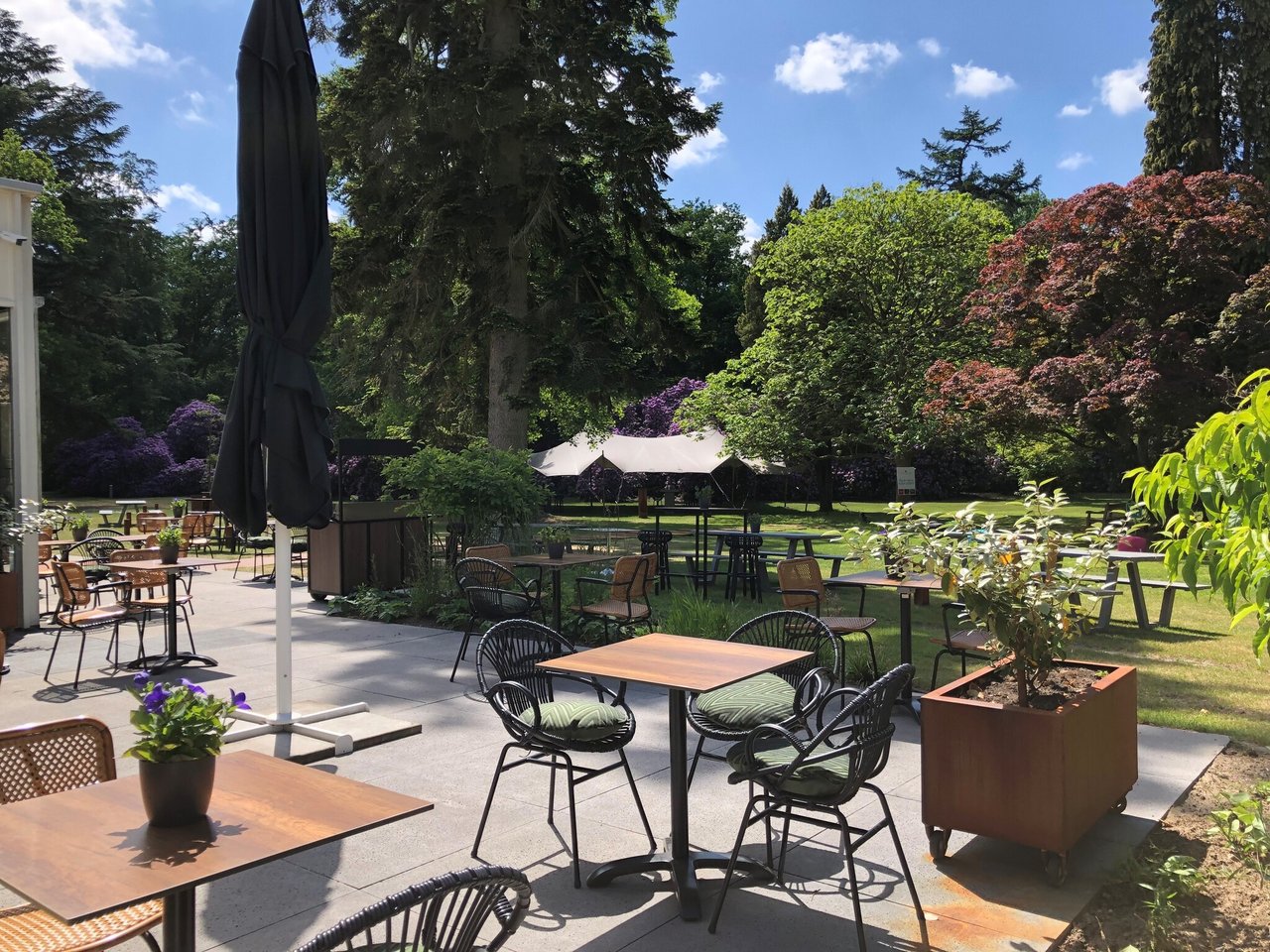 Terras en tuin