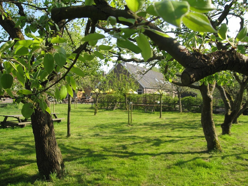 Buitenplaats_Vlaardingen_Boomgaard.jpg