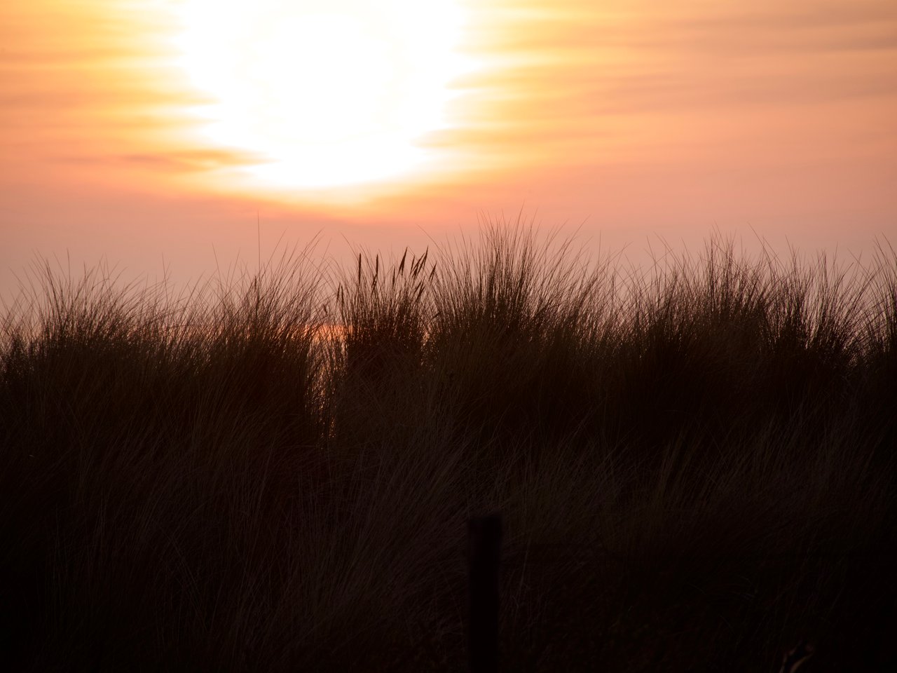 Duinen