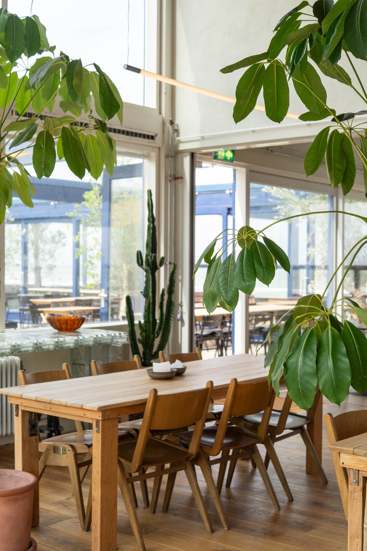 Piatti restaurant Zandvoort Stanza