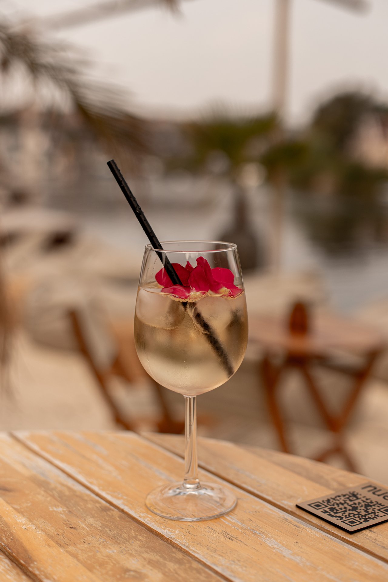 OOD_terras_aug24-18.jpg