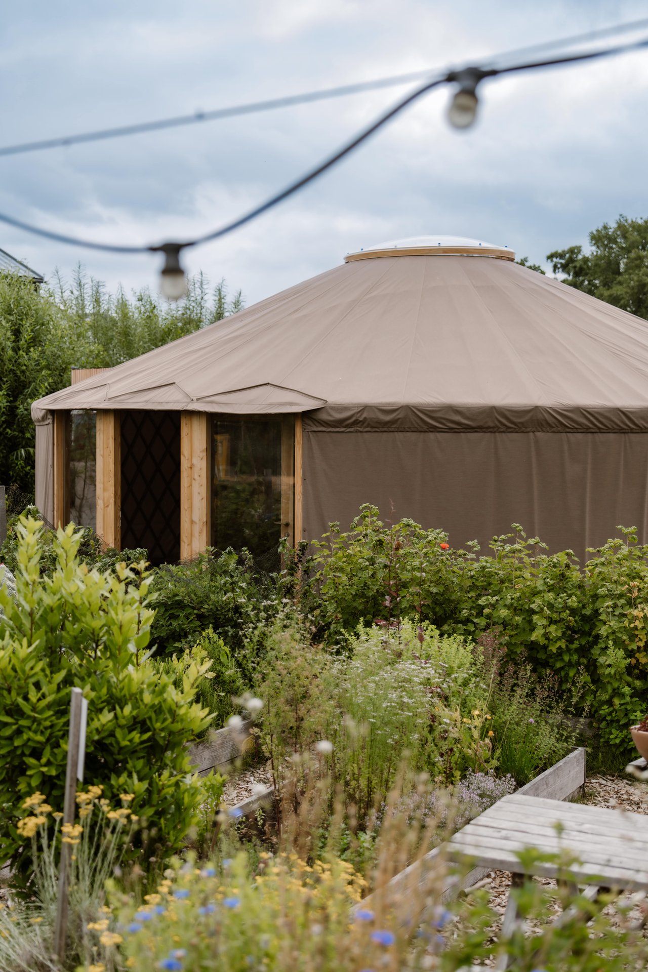 Zwier - juli 2025 - 2-22-min.jpg