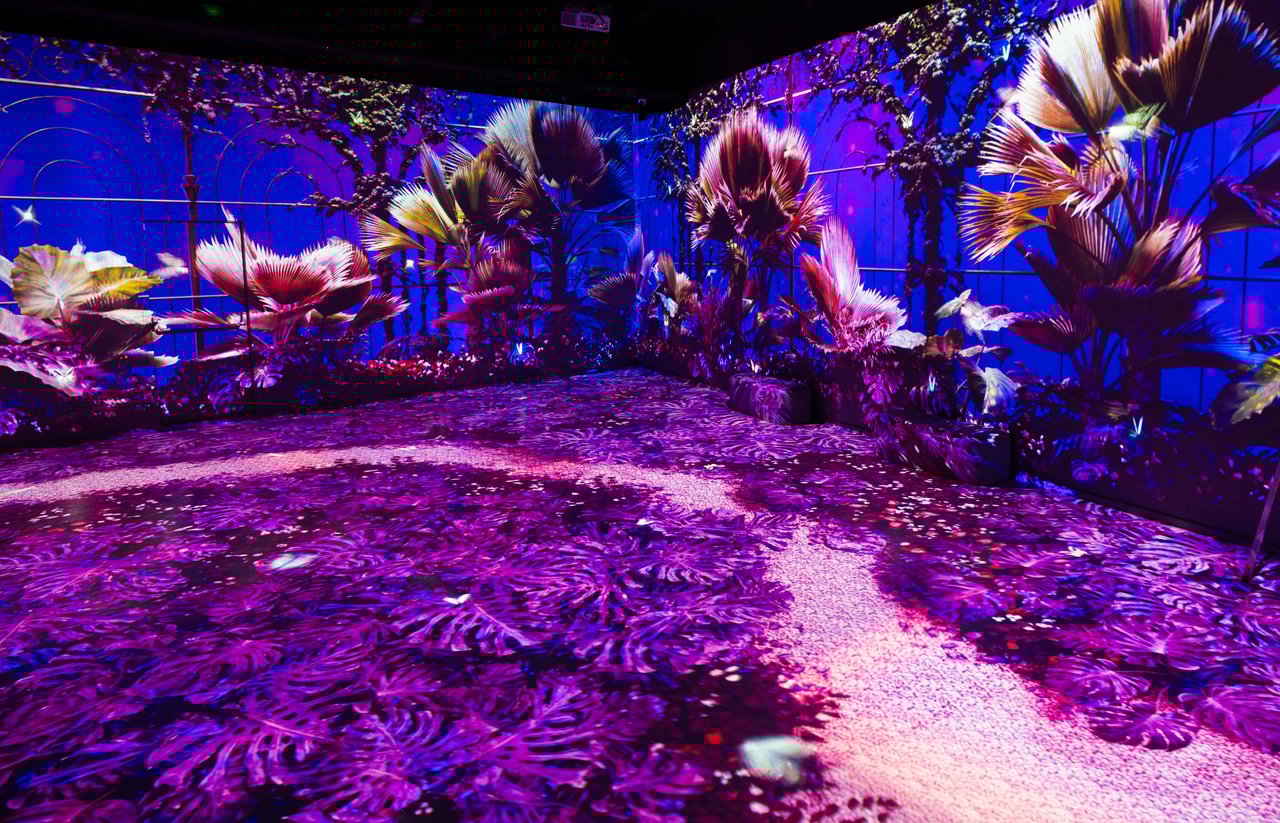 Imagination Experience