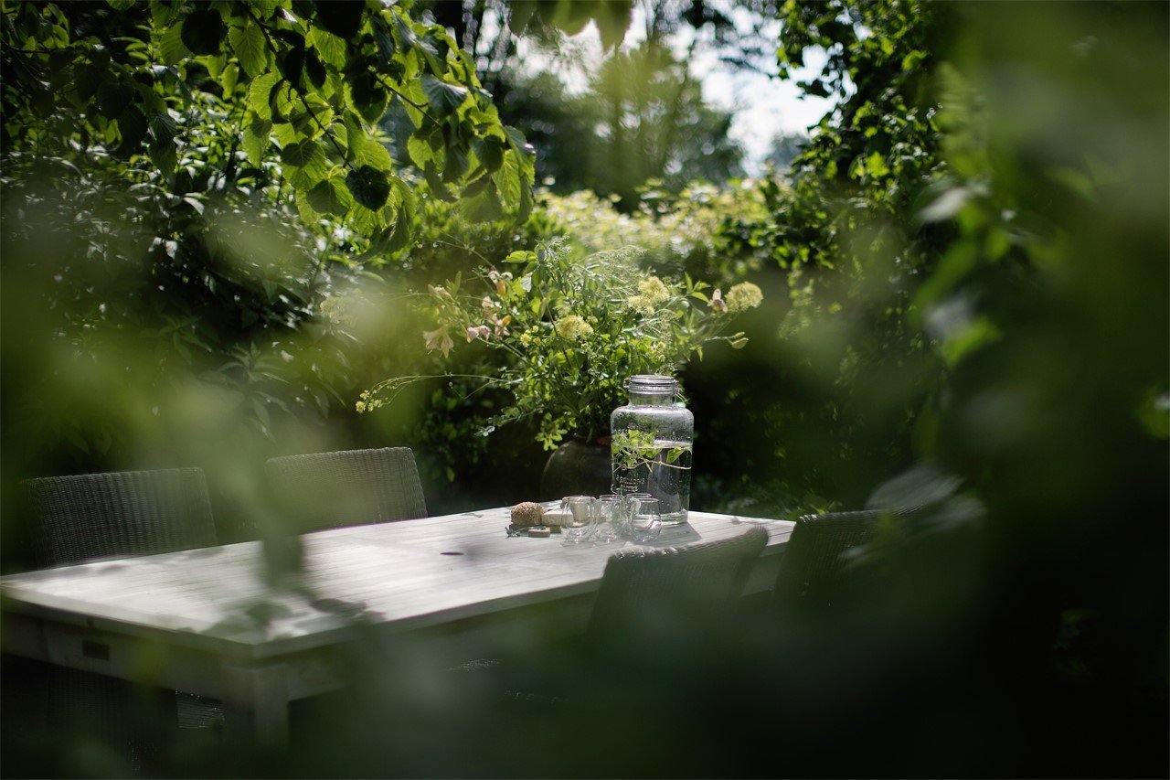 Buitenruimte, ROOTS, de inspirerende locatie voor Teams & Trainingen