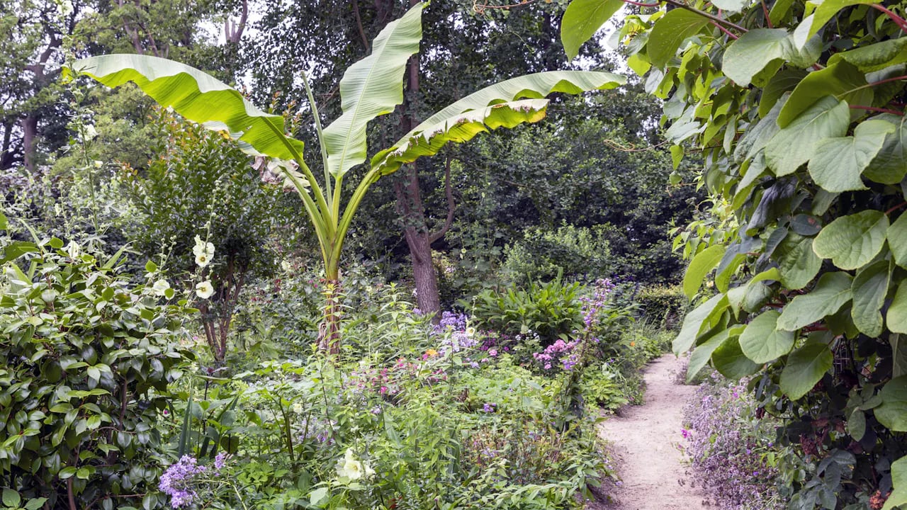 Brakel-tuin-palm-Ton-Rothengather.jpg