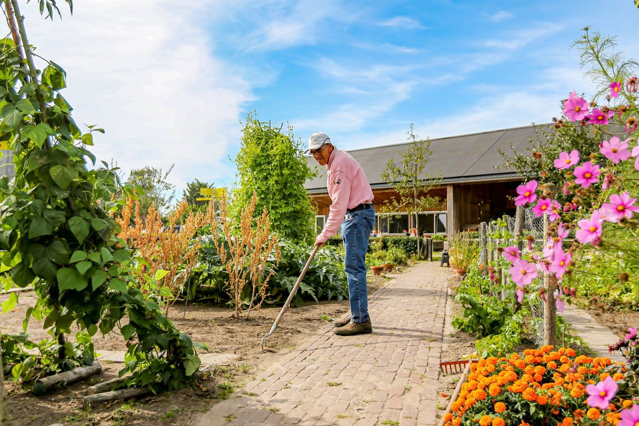 Zorgboerderij.jpg