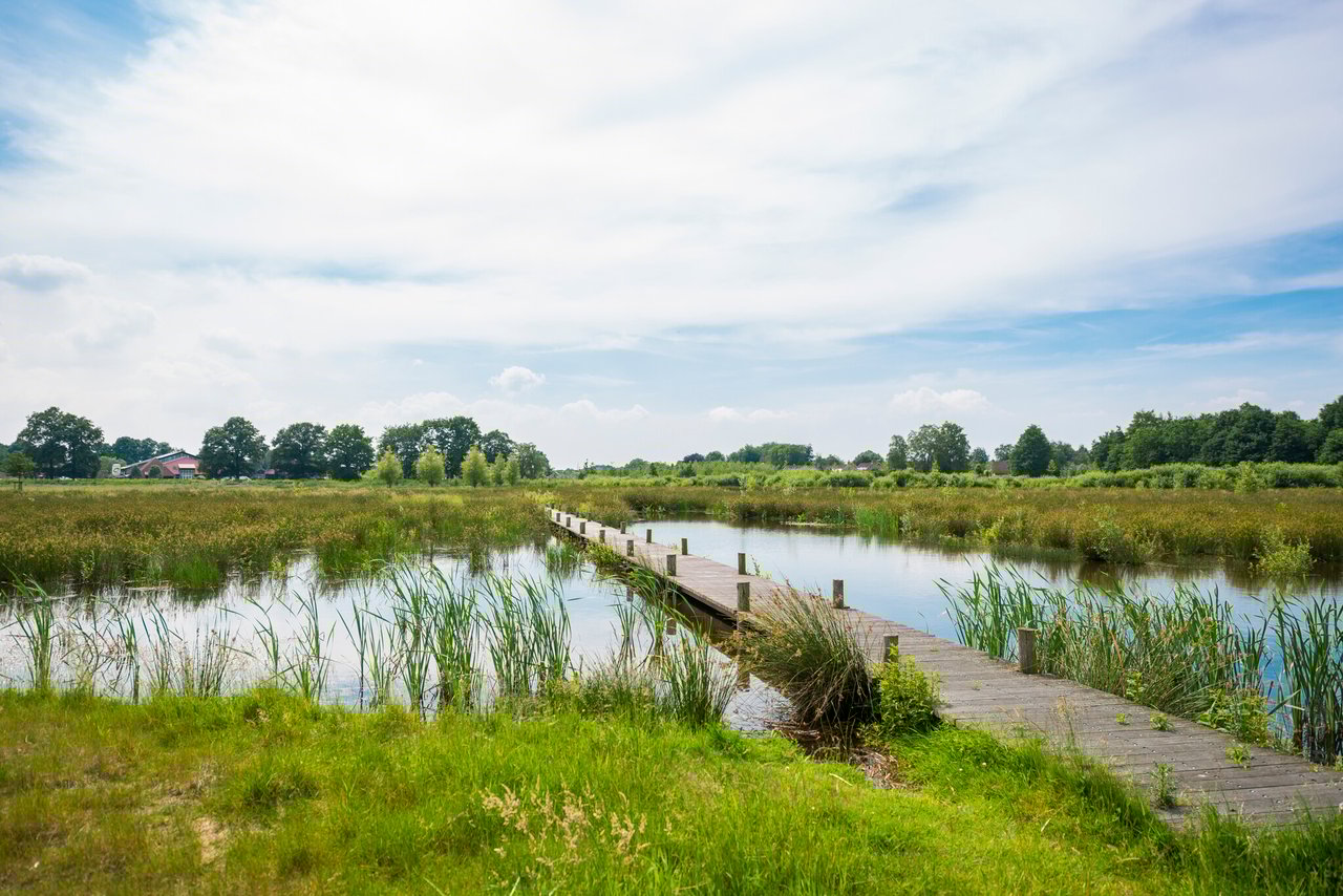 Omgeving-Hofstede-Landduin
