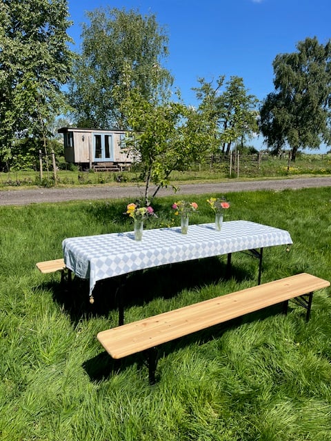 REBÅRN_lunch_buiten.jpg