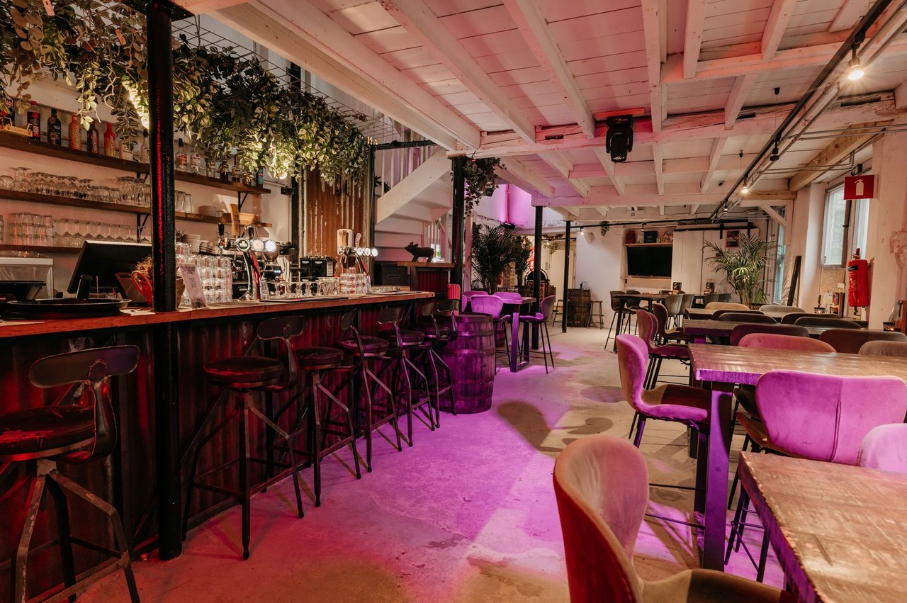 dagjeuitbreda - TGP-8468.jpg