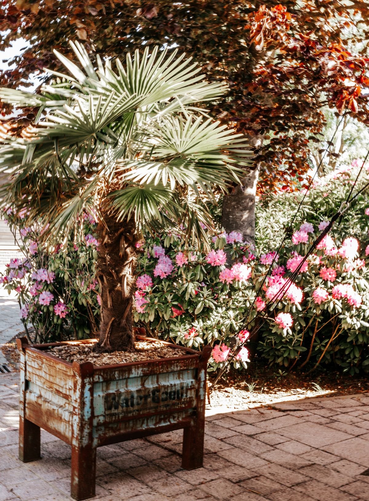 Detail-palm-jachtkamer-terras.jpg