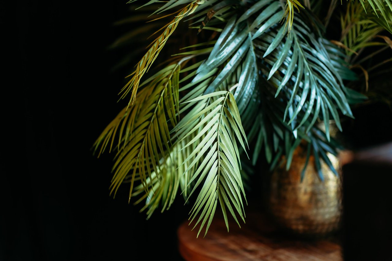 Decoratie BovenBAUT