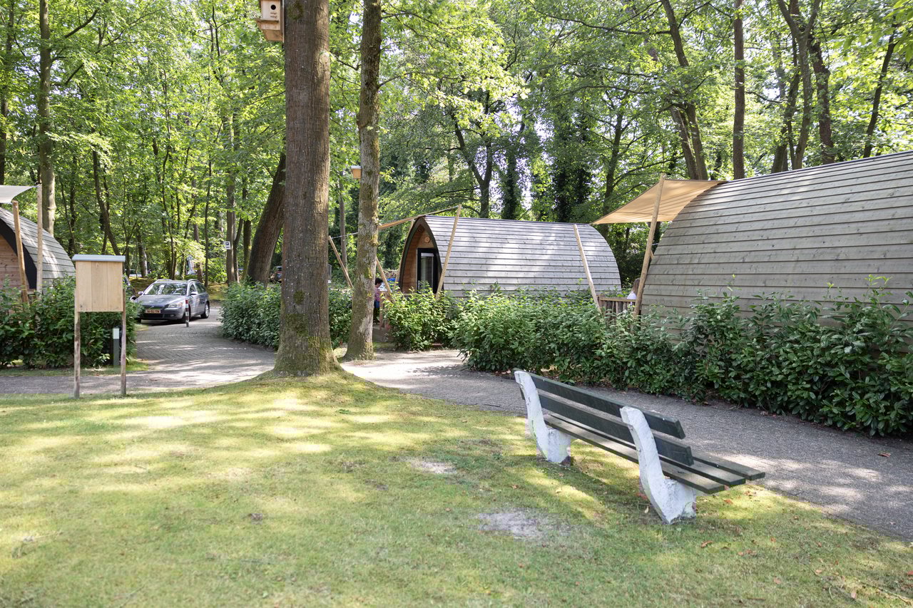 Lodge 3