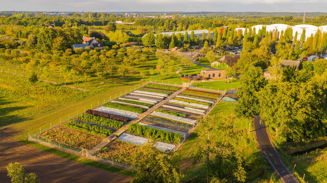 Schuur gelegen bij de moestuin