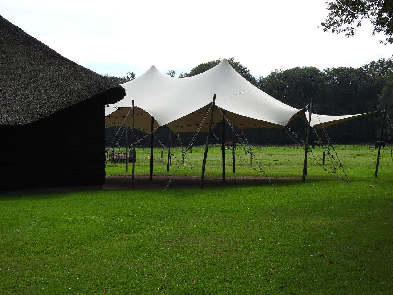 DSCN4950.JPG