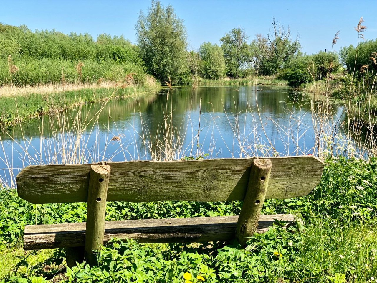 Buitengebied (1)