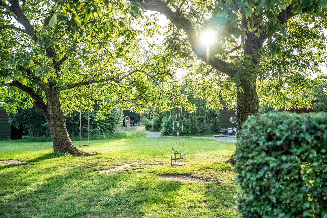Onder de walnotenbomen