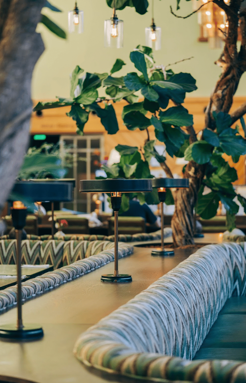 Brasserie  (1)