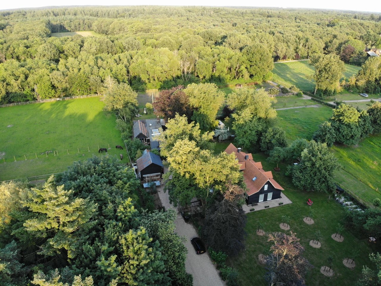 Plek onder de Bomen (1)