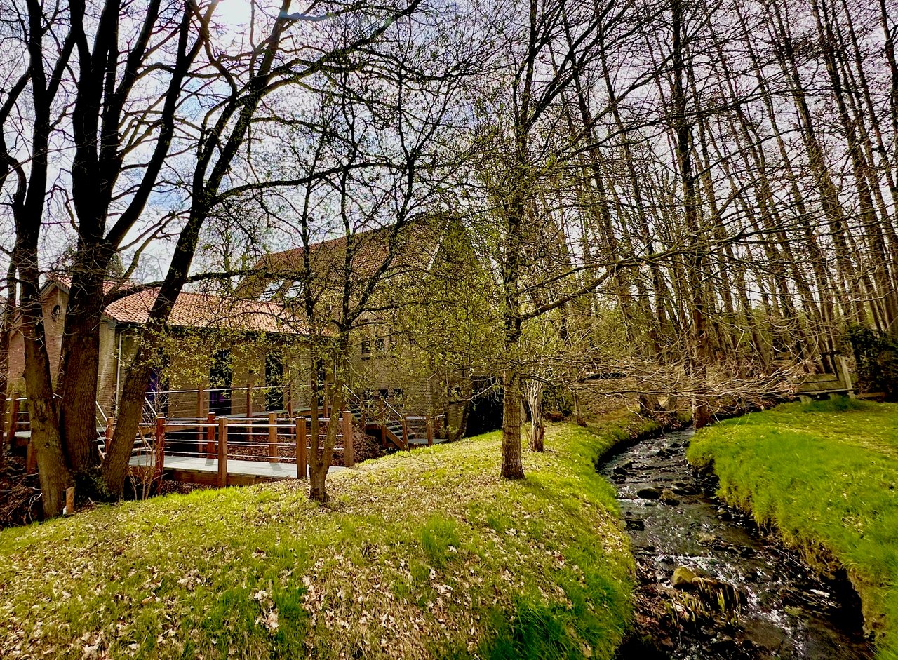 30. veraf molen.jpeg (1)