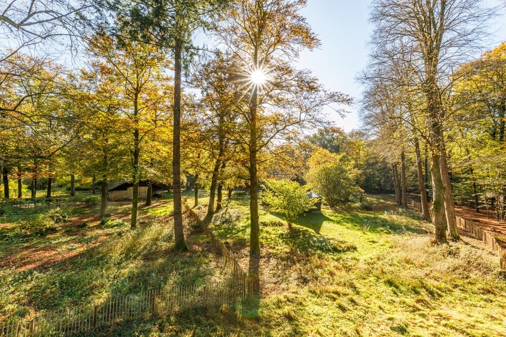 Landgoed Welna20.jpg