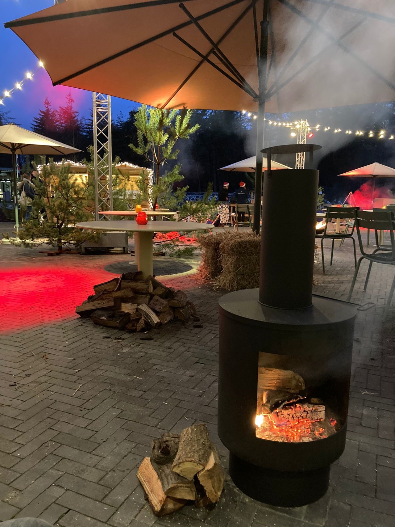 winterterras 5.jpg