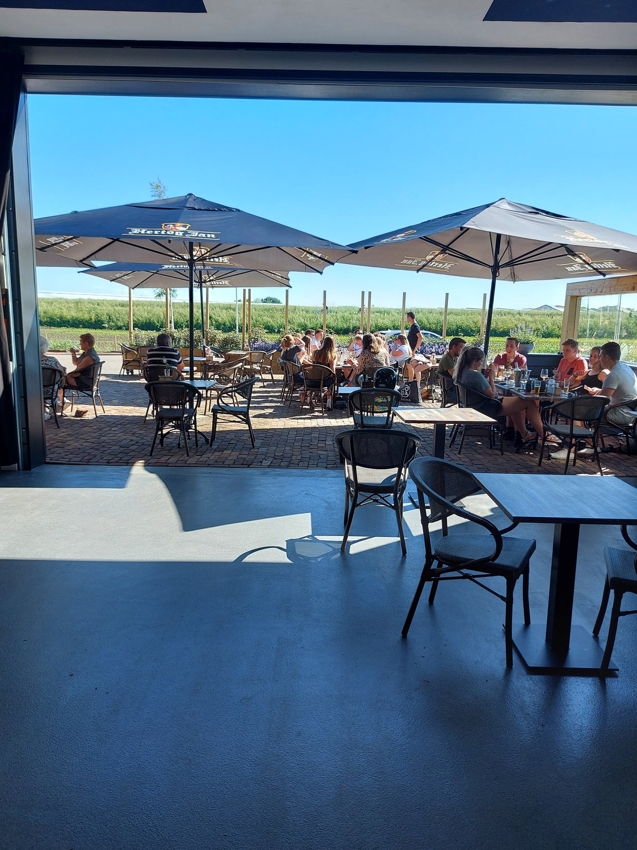 Terras in landelijke omgeving