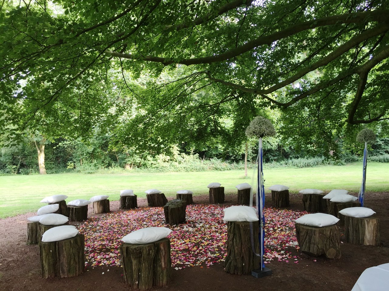 Ceremonie onder de beukenboom