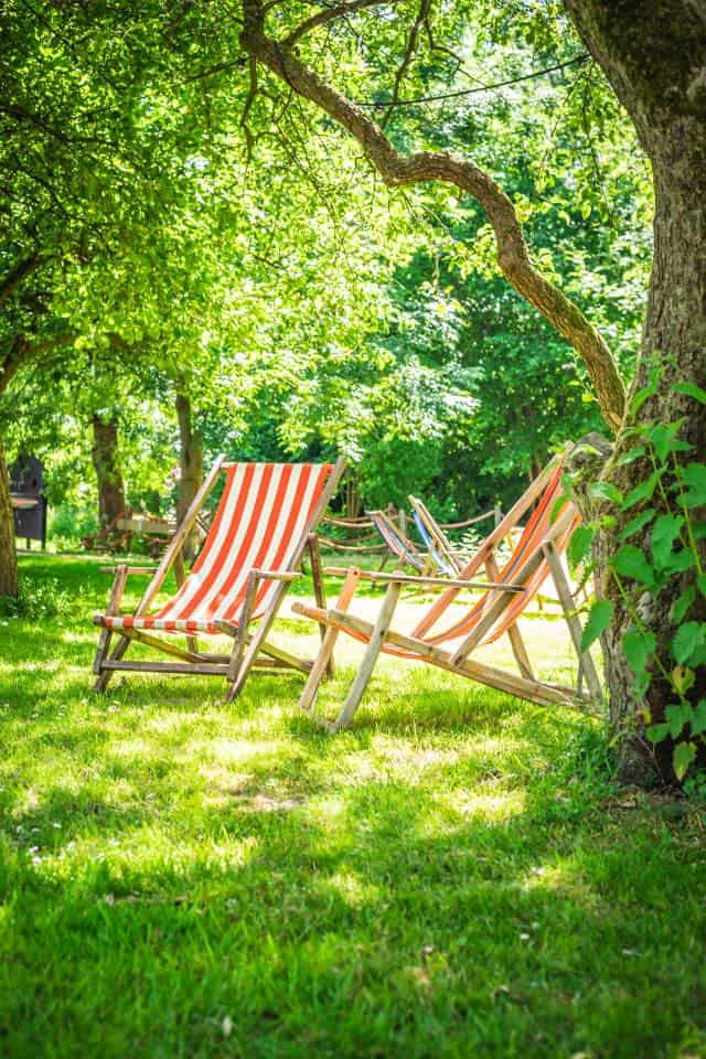 relaxen-in-boomgaard-vlaardingen.jpg