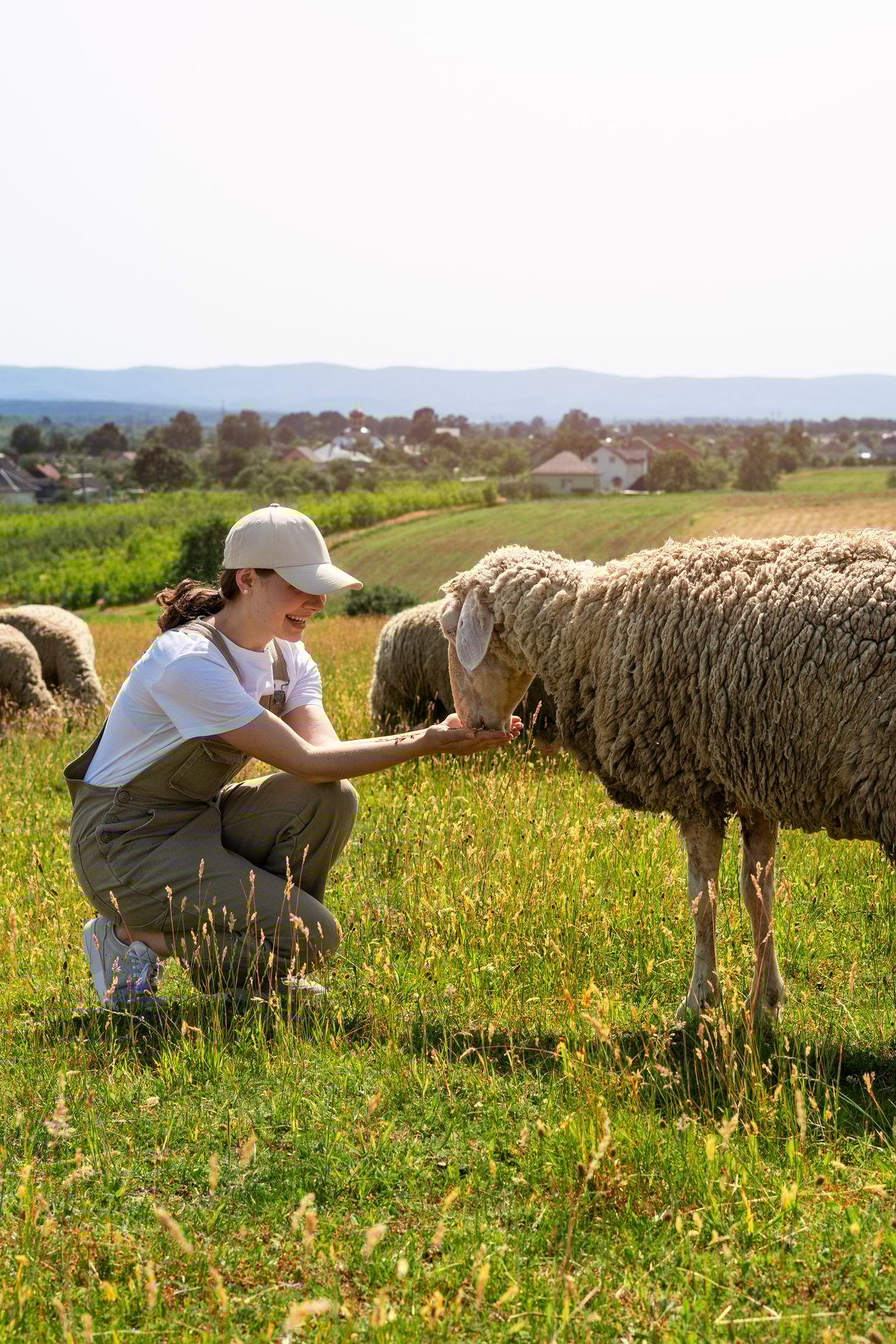 side-view-smiley-woman-feeding-sheep.jpg