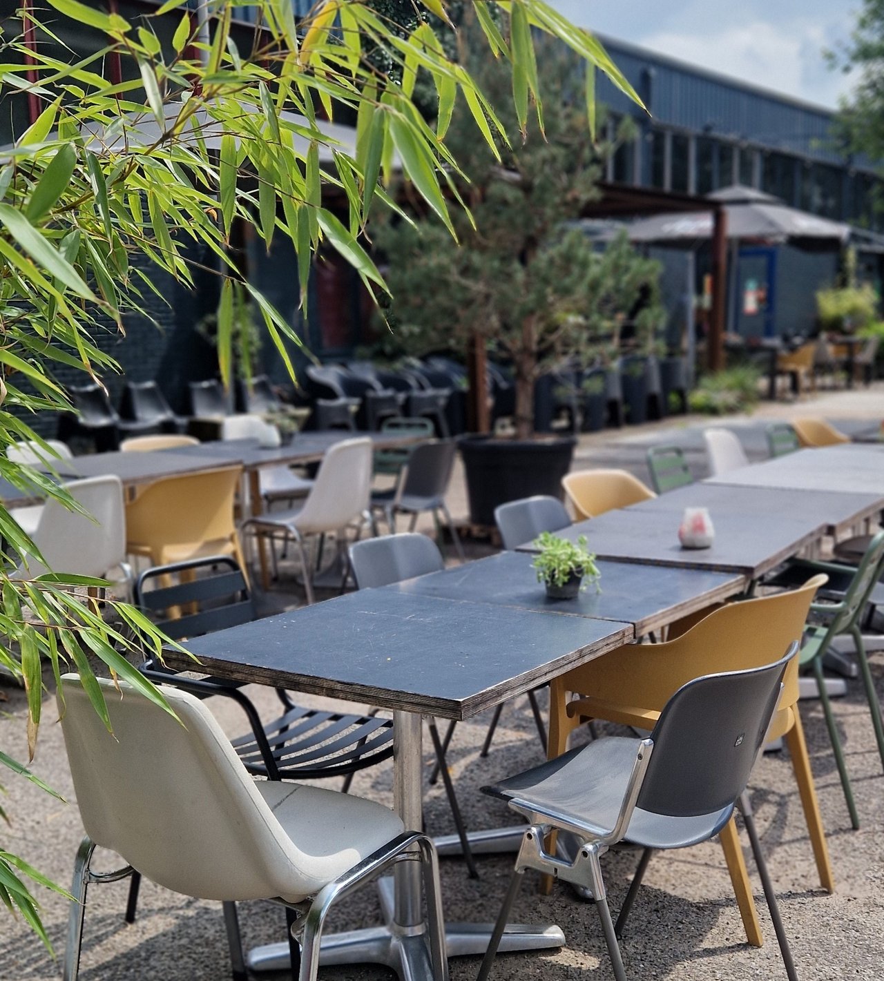 Terras bij The Drain 