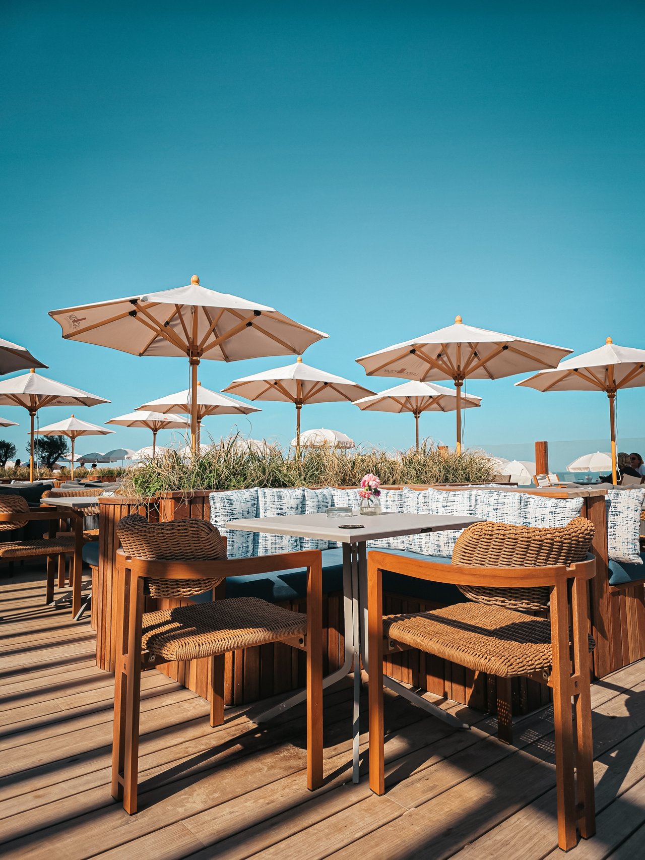 Terras Bloomingdale