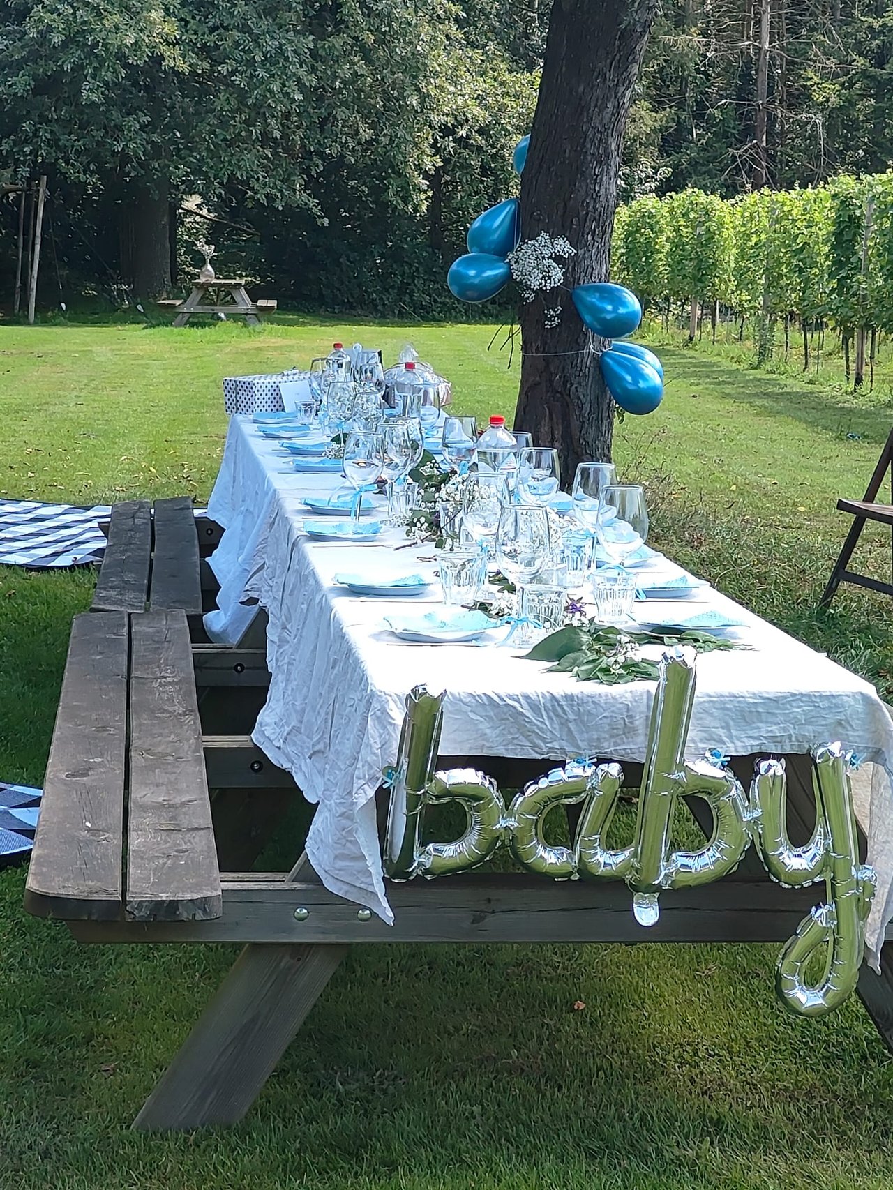 baby shower op de wijngaard