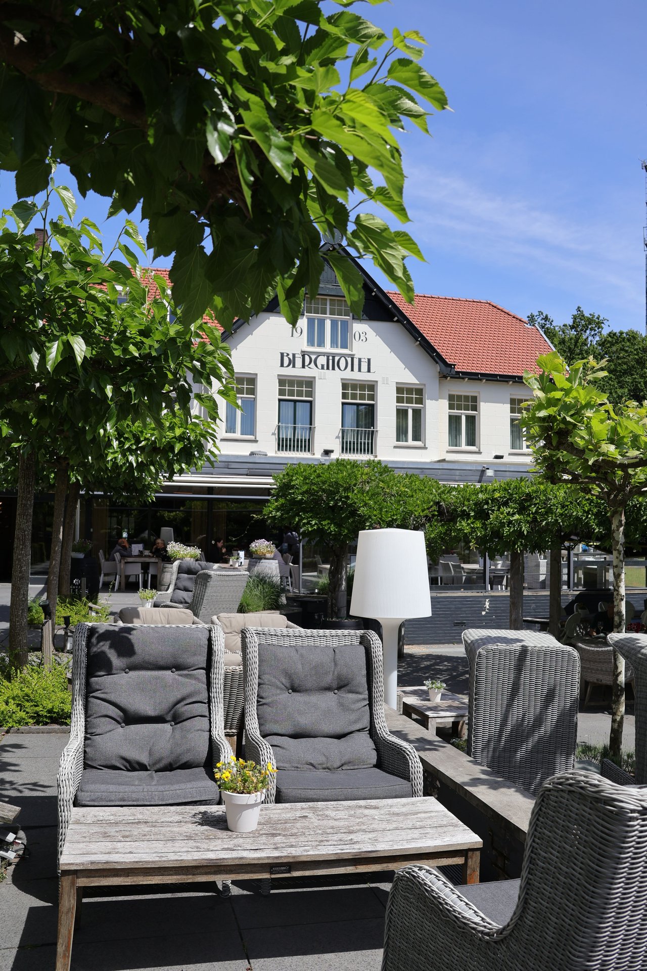 Terras