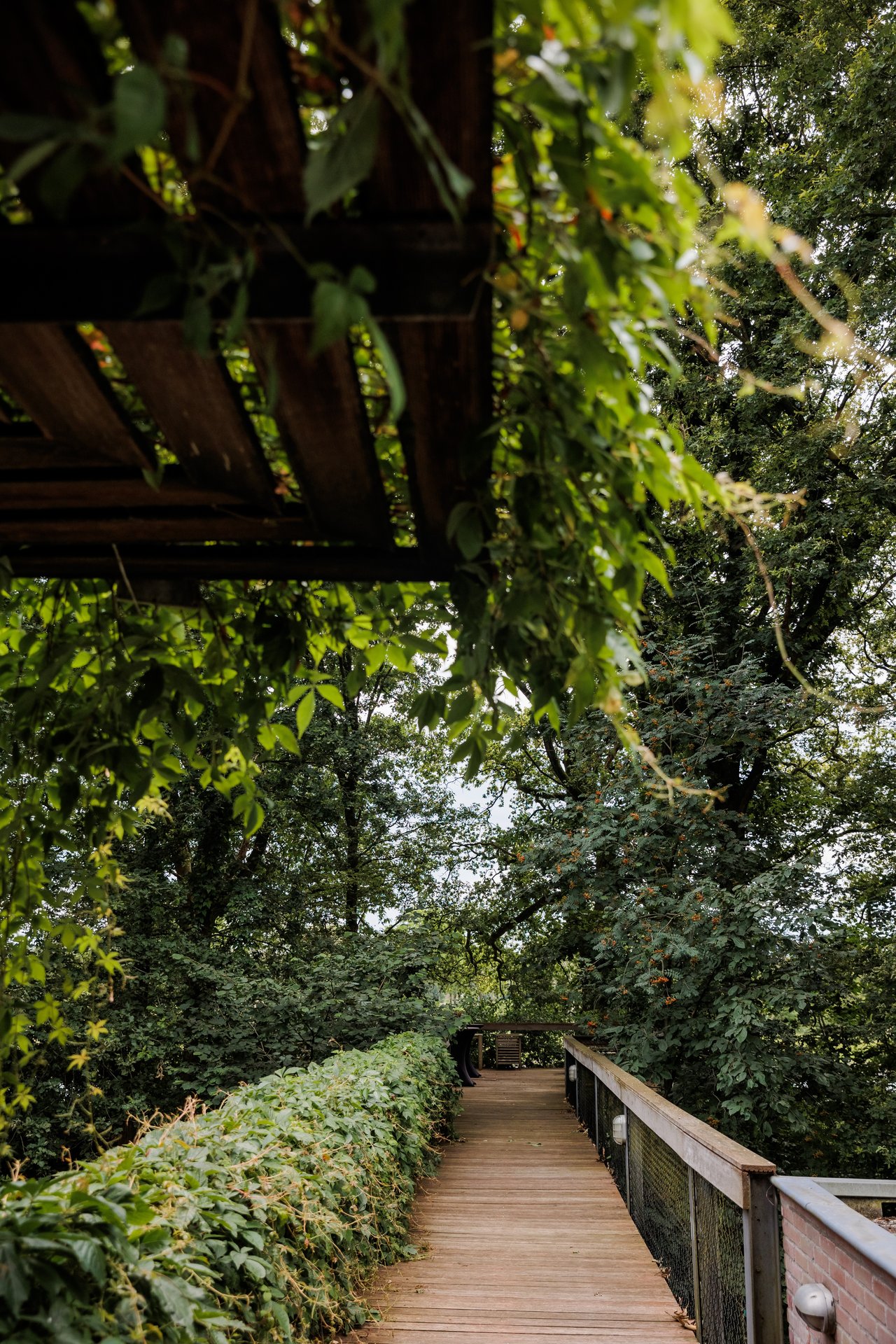 Hilvaria Studio's - Loopbrug/vlonder