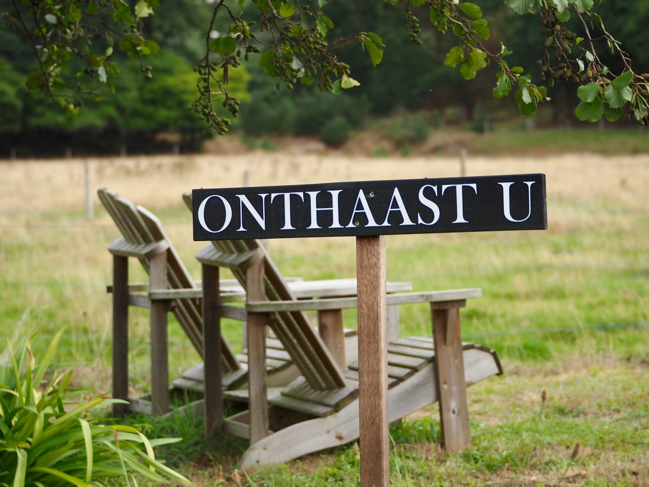 Onthaast u