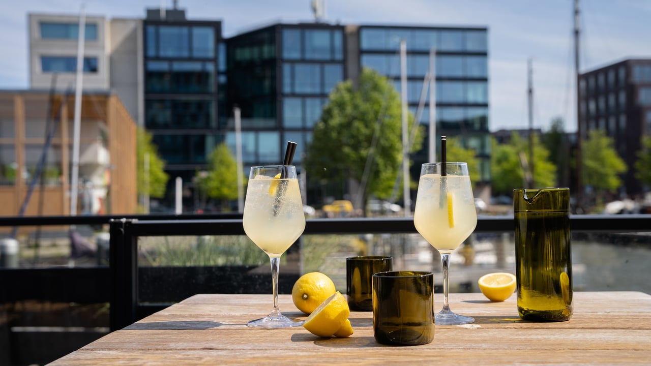Terras-aan-het-water-haven-Ijburg-Amsterdam.jpg