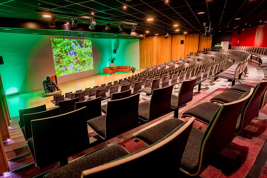 Auditorium De St@art