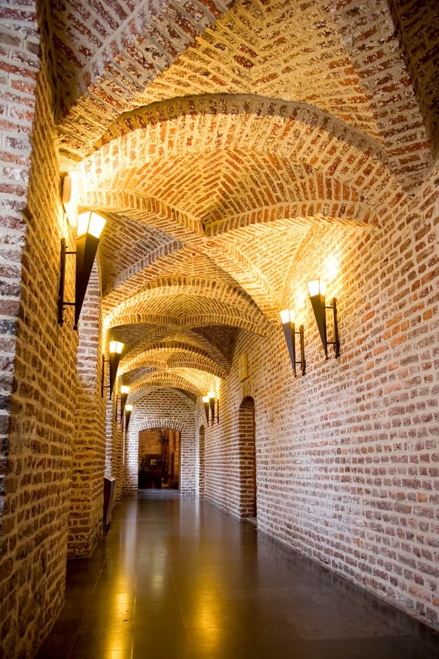 Keldergewelven van het kasteel