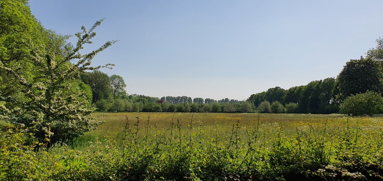 achtertuin-1.jpg