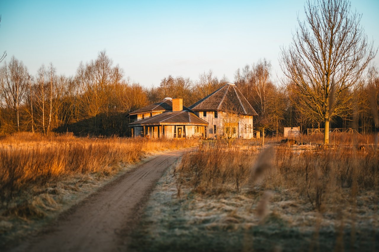 Slot Roggebot op Yūgen Forest in winters ochtendlicht.jpg
