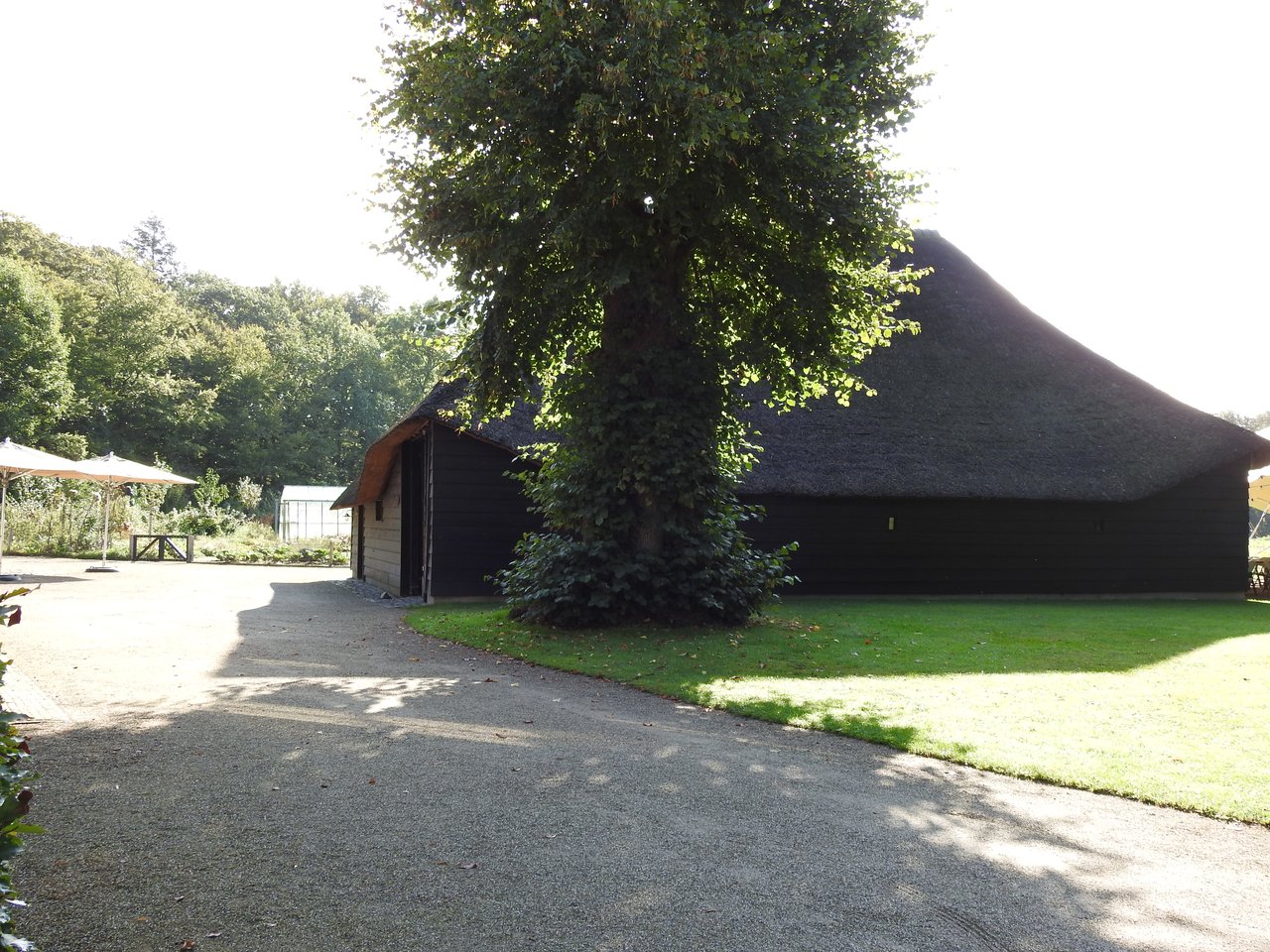 DSCN4933.JPG
