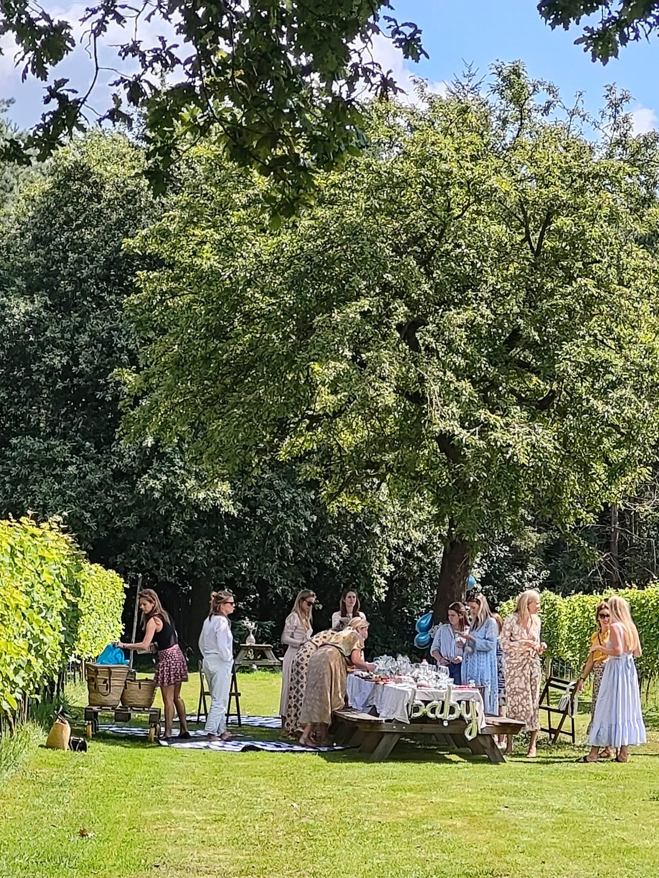 Lunch picknick op wijngaard zonnestraal