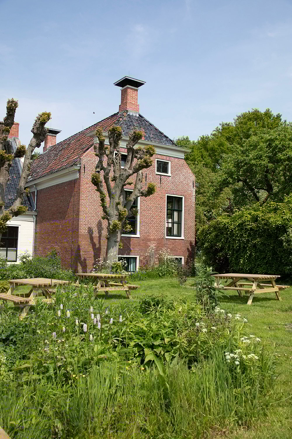 Tuinterras Op Maarhuizen