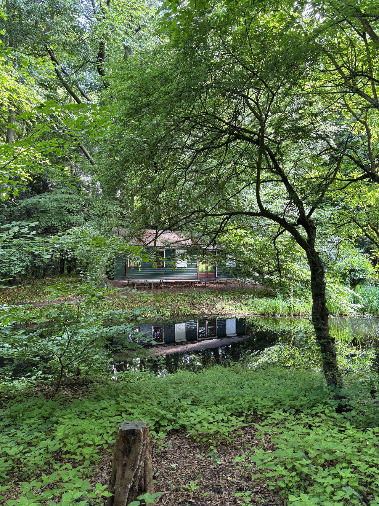 Het vogeleiland