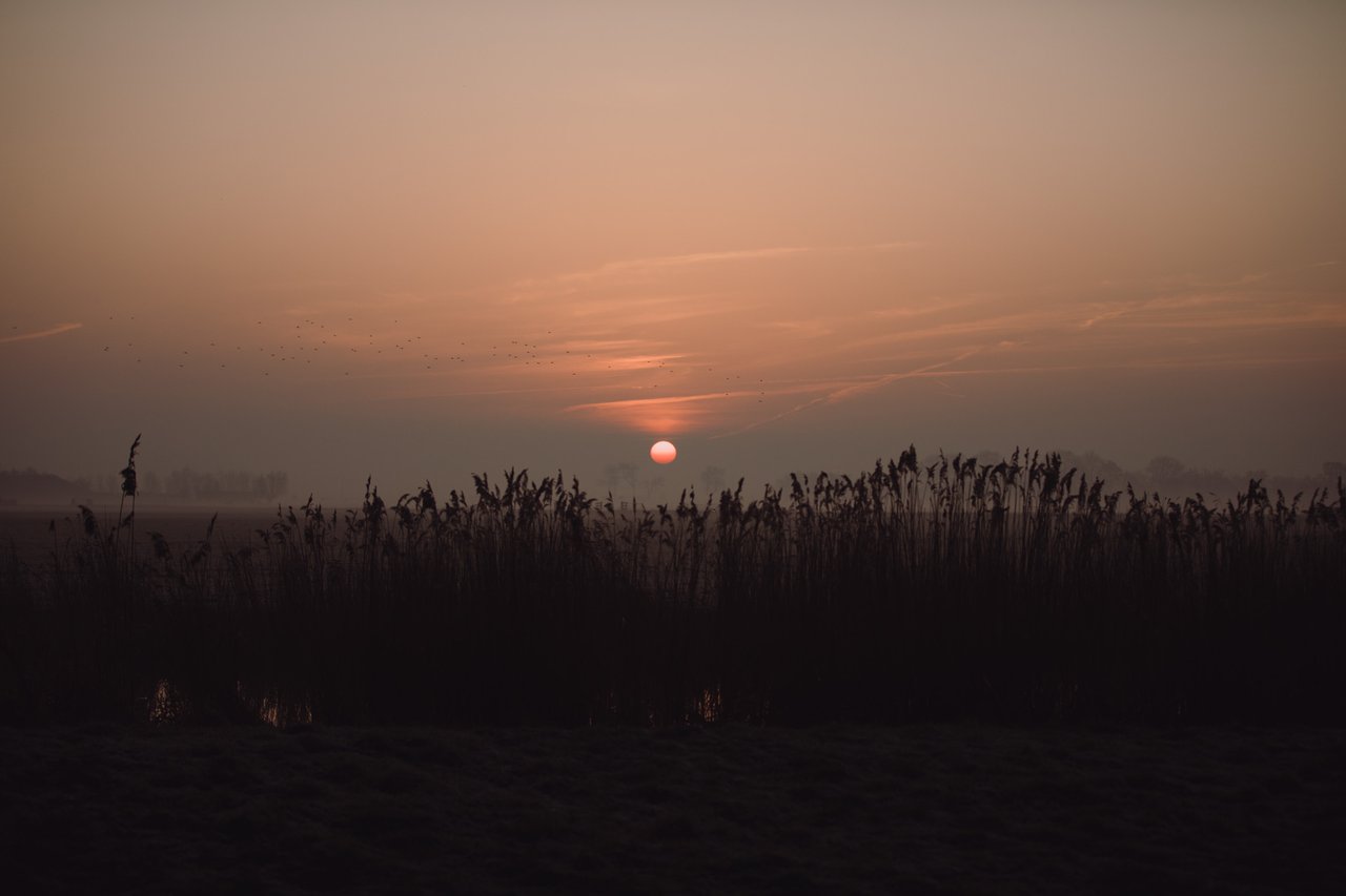 Zonsopkomst over de weilanden van Broek in Waterland