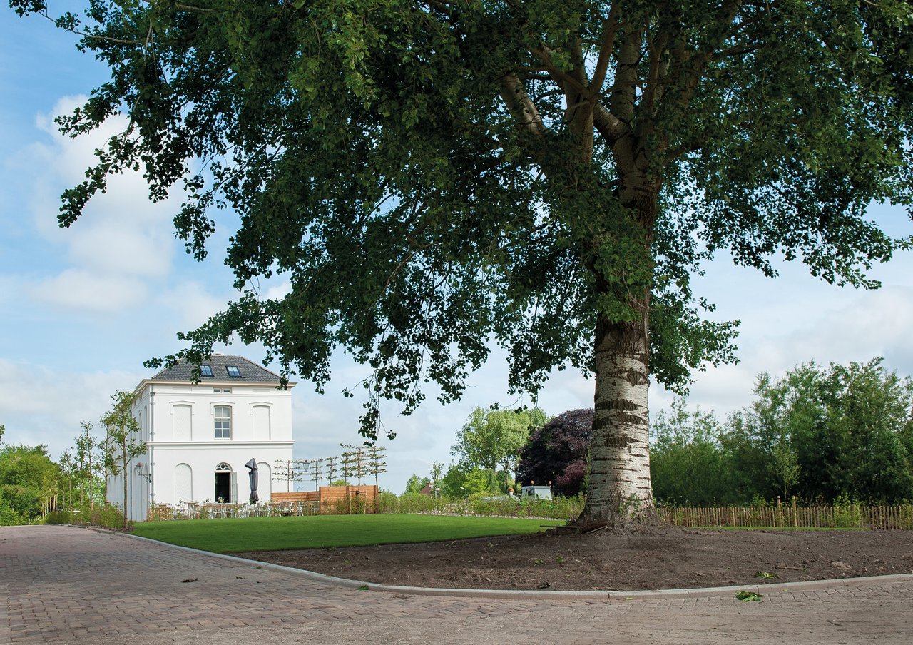 De Witte Dame Tree of love.jpg
