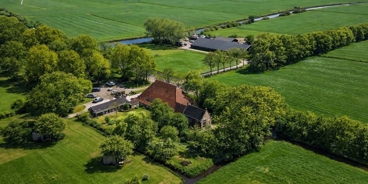 Pean-buiten Weidum in het Friese weidelandschap