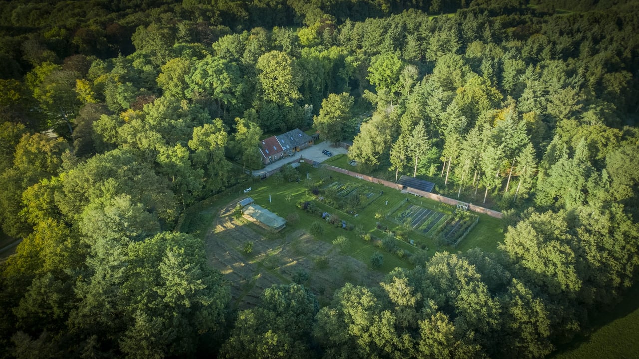Overview Moestuin en Boomgaard door ons de Moesgaard genoemd